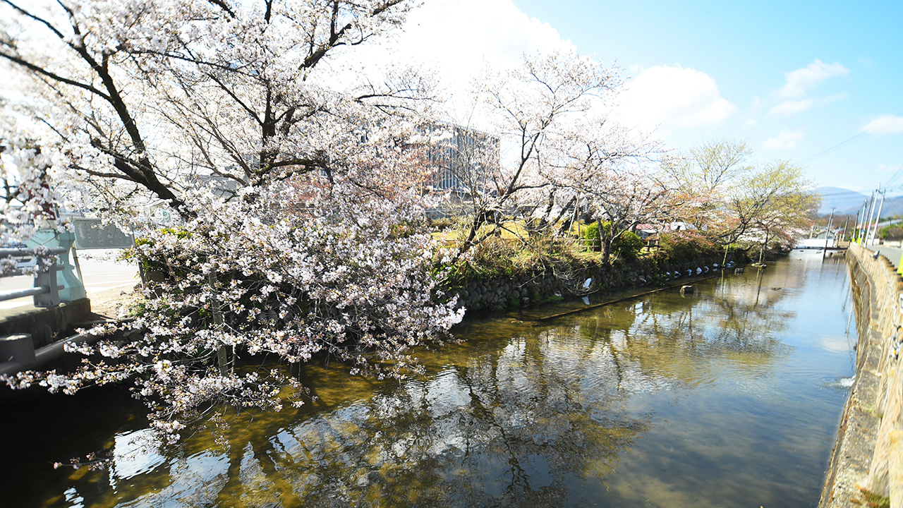 沢端川
