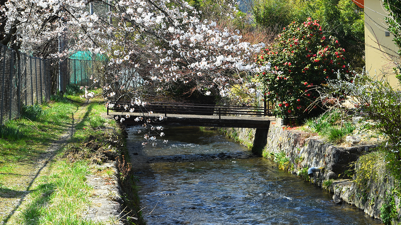 沢端川