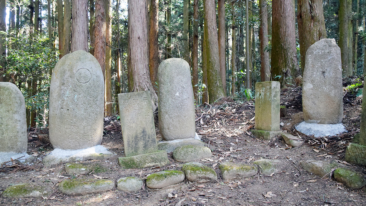 田村家御廟(阿菖蒲、真田幸村の墓)