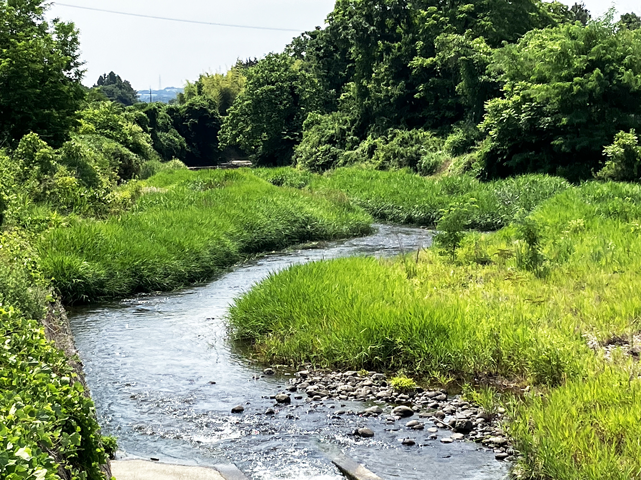 七北田川