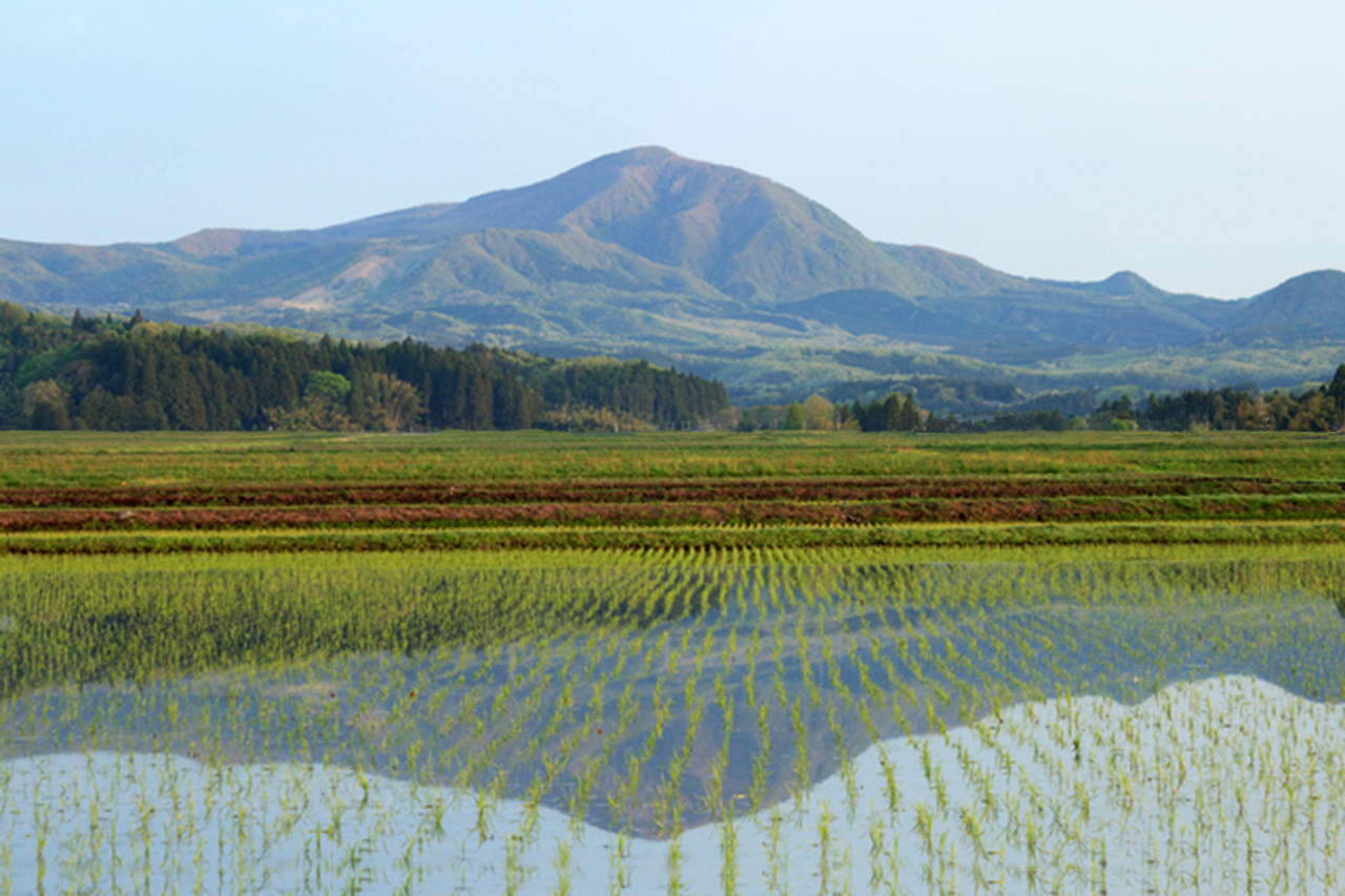 泉ヶ岳と水田