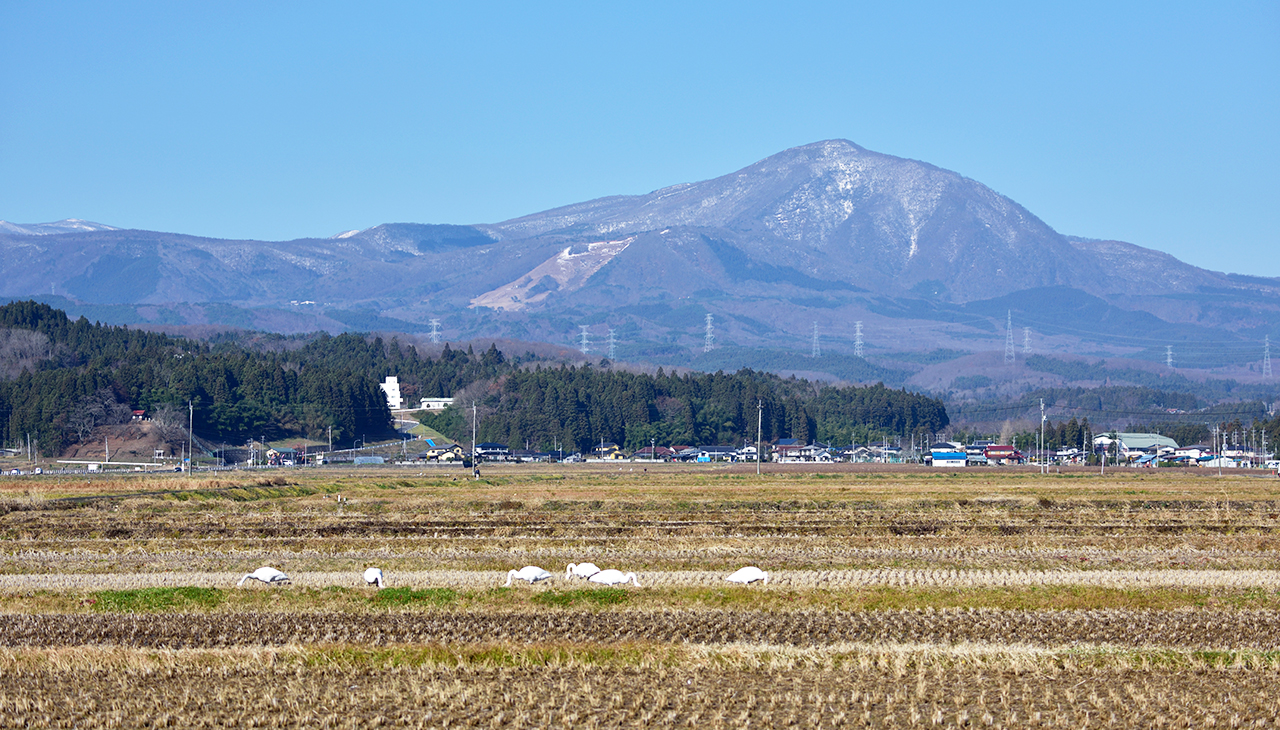 根白石から見る泉ケ岳
